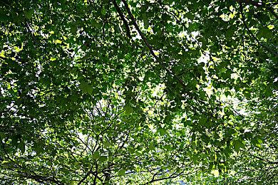 《星球大战：法外狂徒》PC版配置需求发布 推荐RTX 3060Ti